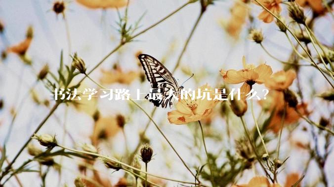 书法学习路上最大的坑是什么？