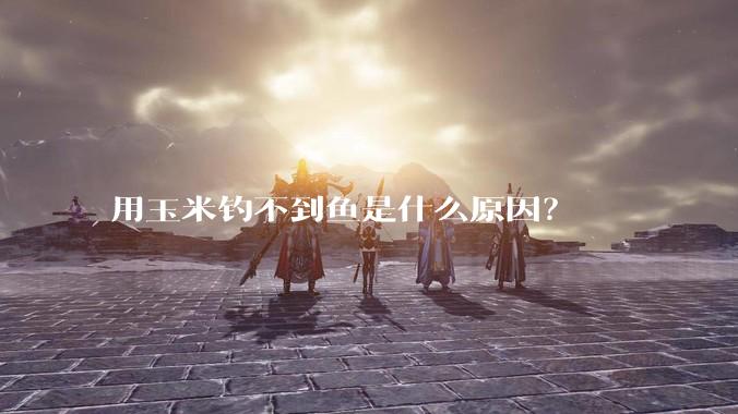 用玉米钓不到鱼是什么原因？