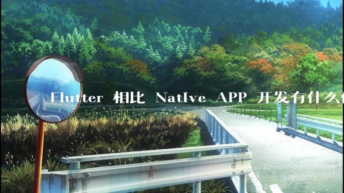 Flutter 相比 Native APP 开发有什么优势?