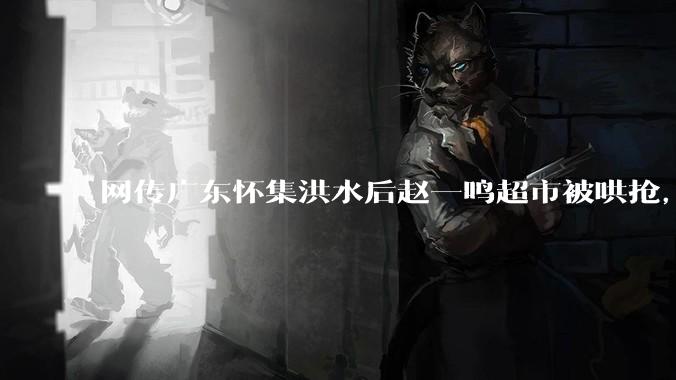 网传广东怀集洪水后赵一鸣超市被哄抢，县***回应相关单位正在核实，若属实哄抢者该承担哪些法律责任？