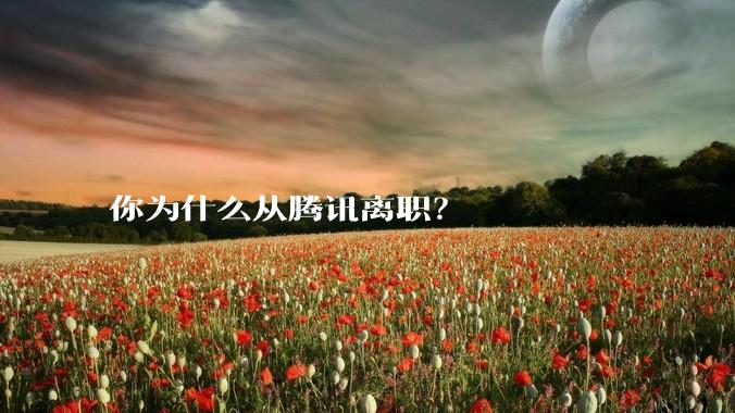 你为什么从腾讯离职？